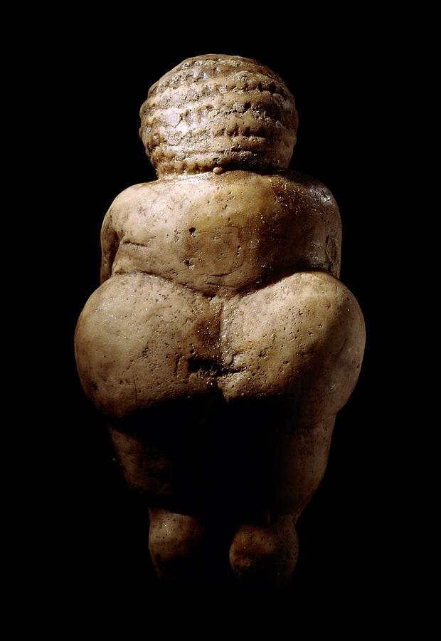 Prehistoric Photograph - Venus of Willendorf, Stone Age figurine by Science Photo Library