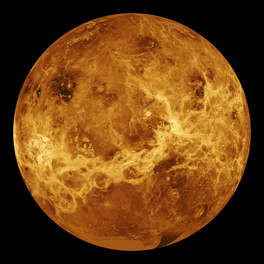 Venus Photograph by Sebastian Musial
