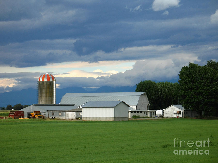 Verdant Farmland Photograph by Ann Horn