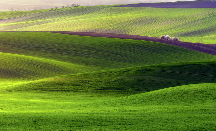 Verdant Land Photograph by Piotr Krol (bax)