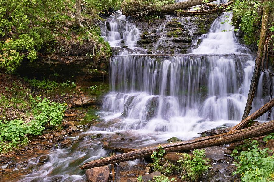 Verdure of Wagner Falls by Dylan Lees Verdure of Wagner Falls by Dylan Lees