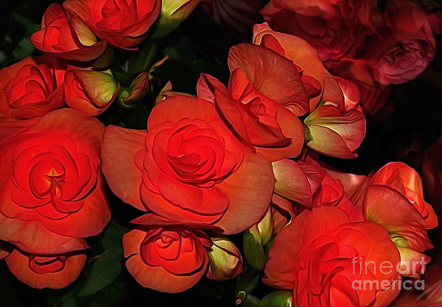 Rose Photograph - Vermillion Fire by Kaye Menner