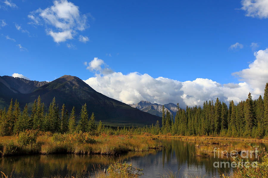 Vermillion Lakes Banff Alberta Photograph by Nick Jene - Fine Art America