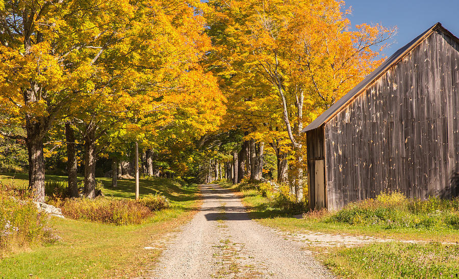 Vermont Country Road and Barn Photograph by Vance Bell