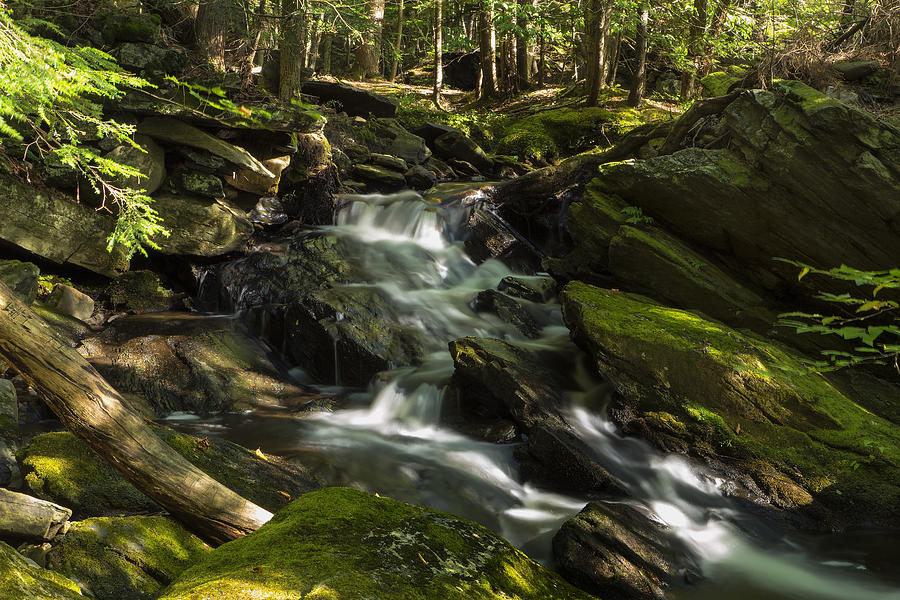 Vermont Country Stream Photograph by Tom Singleton