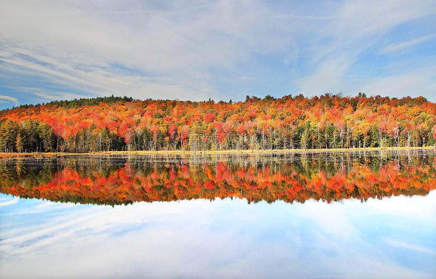 Vermont Fall Photograph by Andrea Galiffi
