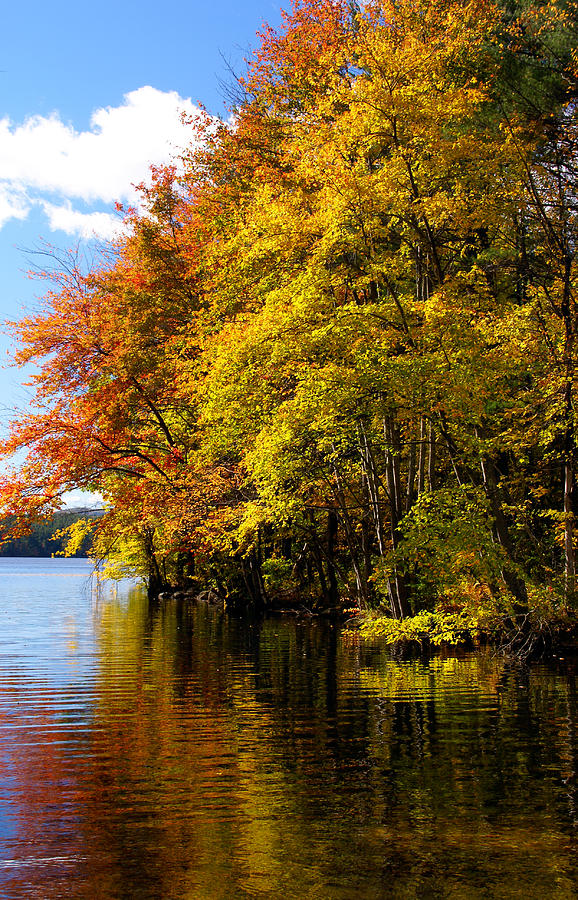 Vermont Fall Colors 3 Photograph by Robert Lozen