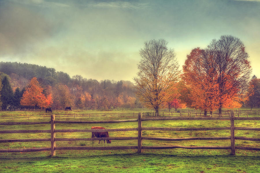 Vermont Farm in Autumn Photograph by Joann Vitali