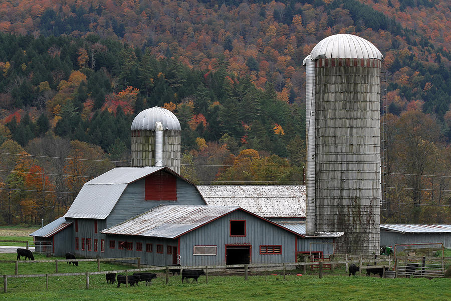 Vermont Farm Photograph by Juergen Roth
