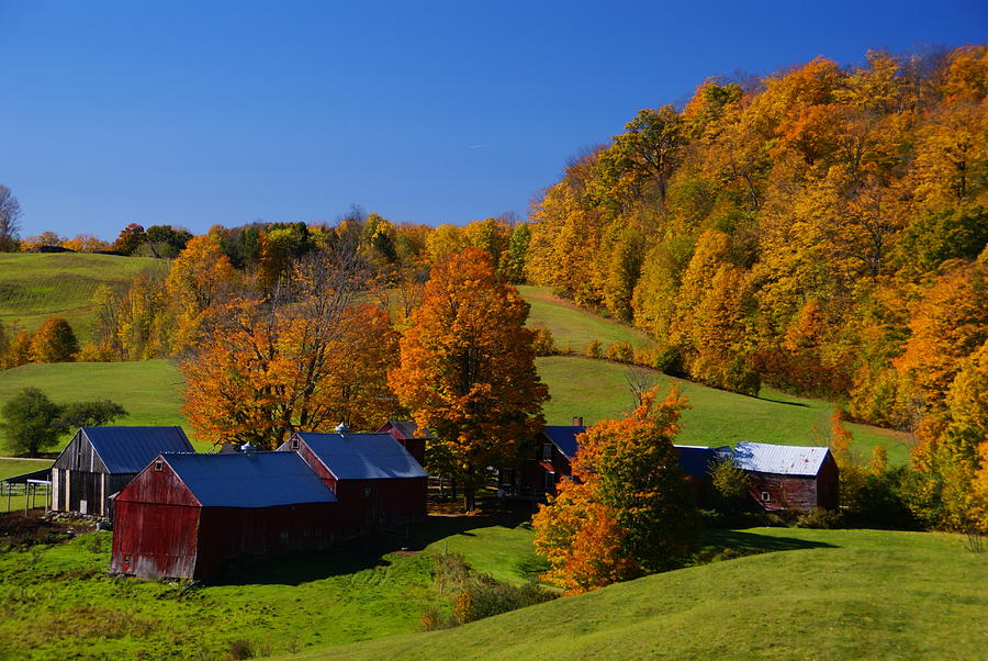 Vermont Farm Photograph by Robert Lozen