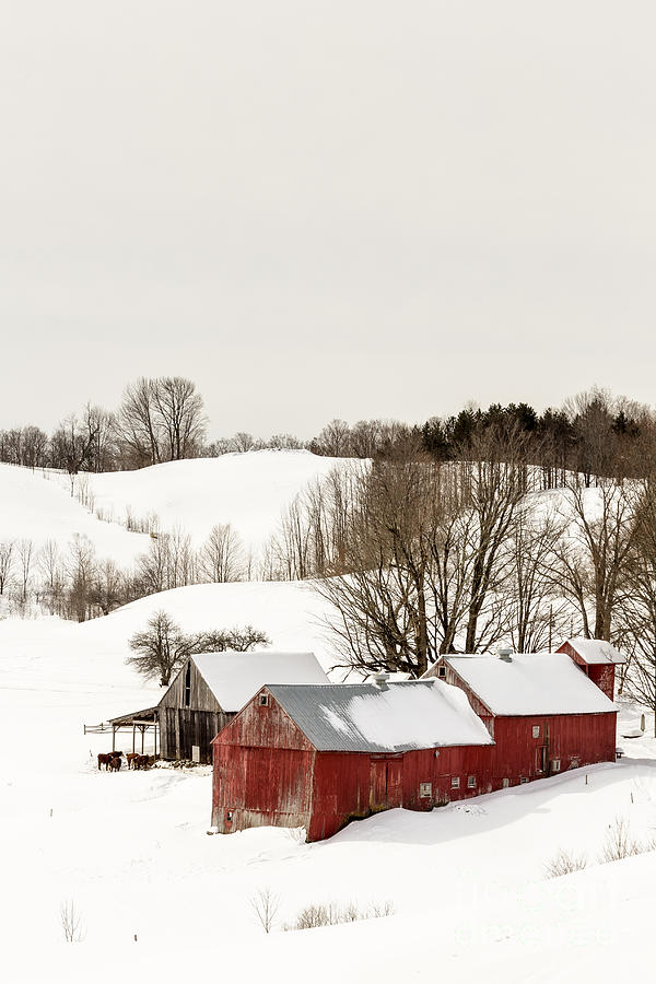 Vermont Farm Scene in Winter Photograph by Edward Fielding