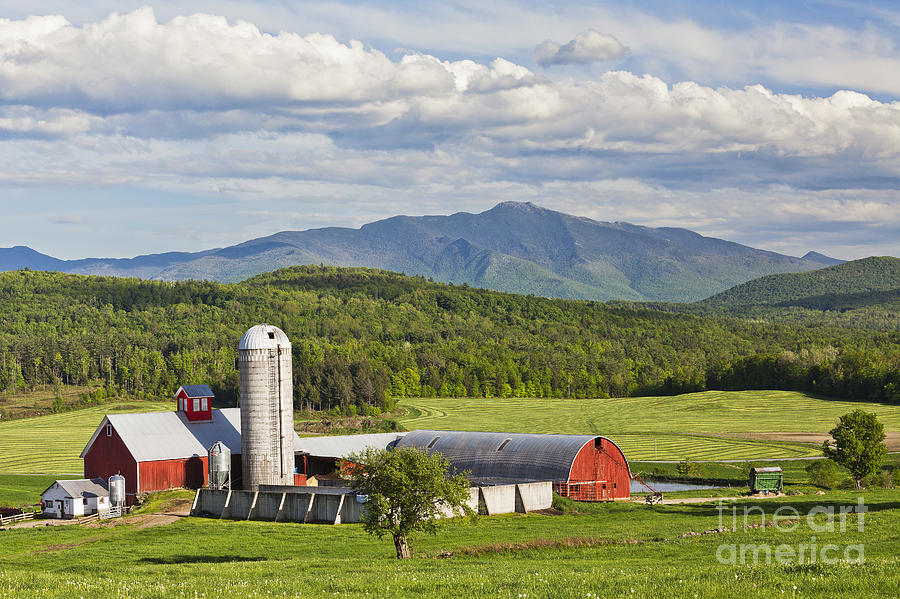Vermont Farm Scenic Photograph by Alan L Graham