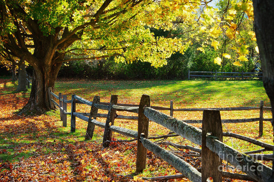 Vermont Fence Photograph by Jim  Calarese