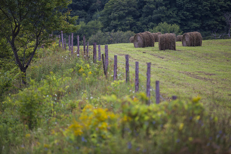 Vermont fence with hay Photograph by John McGraw