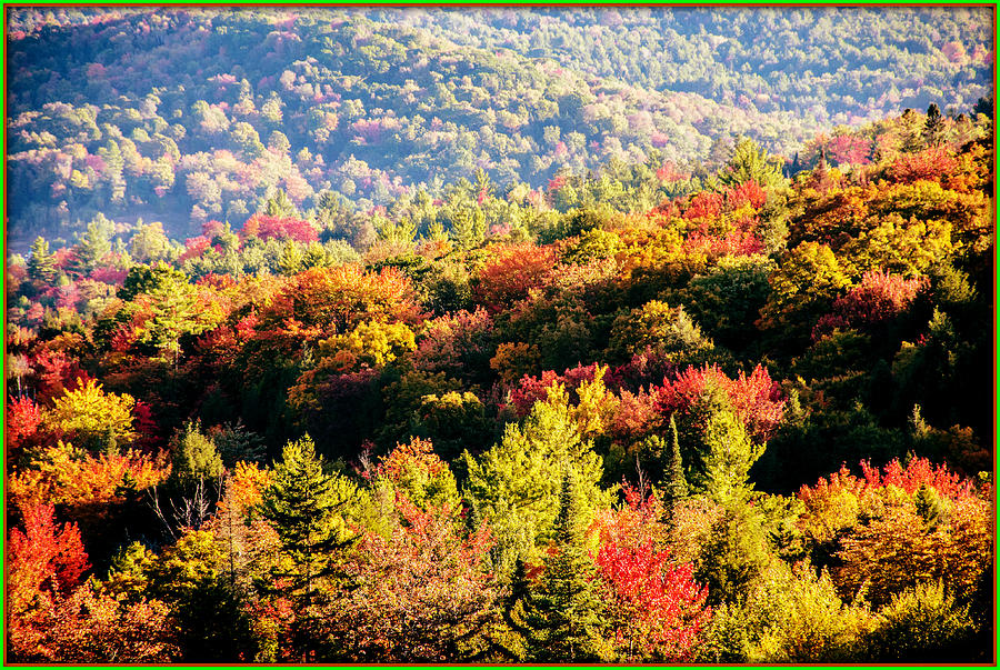 Tree Photograph - Vermont Foliage Time by Sherman Perry