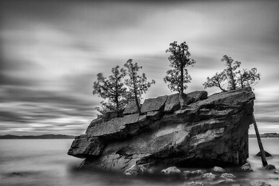 Black And White Photograph - Vermont Lake Champlain boulder trees black and white by Andy Gimino