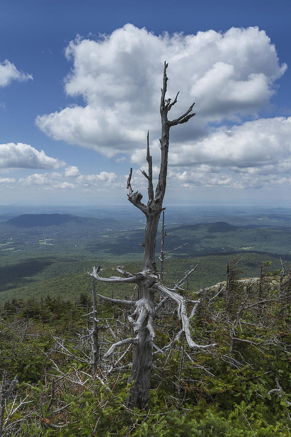 Vermont Mount Mansfield Mountain Landscape Clouds Forest Photograph