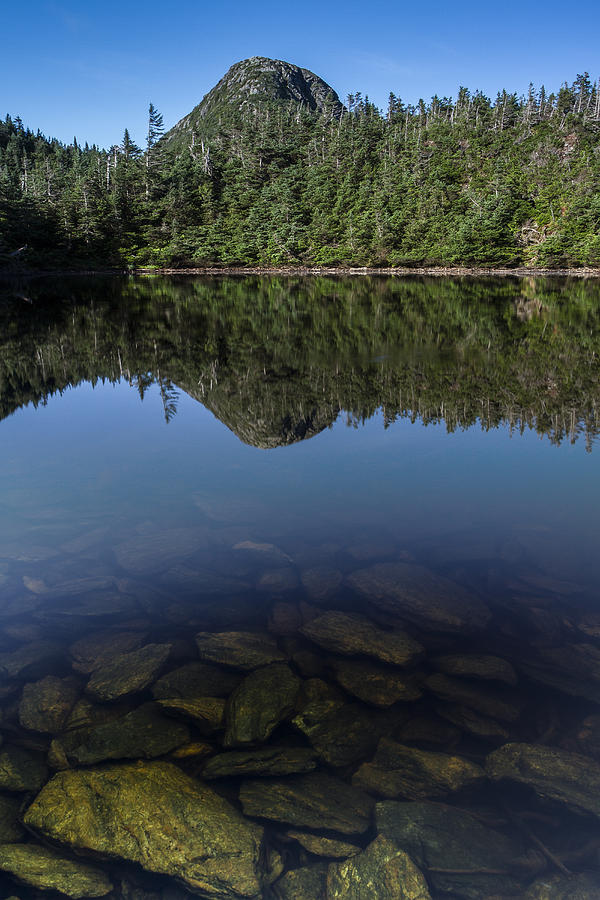 Vermont Mount Mansfield Pond Reflection Forest Photograph