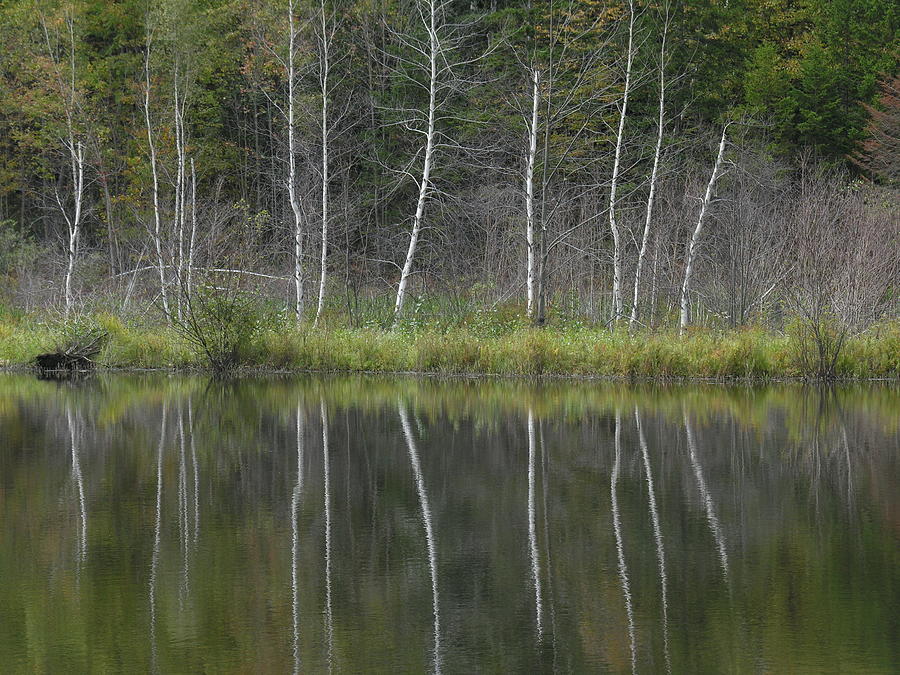 Vermont Pond Reflection 5 Photograph by Robert Lozen