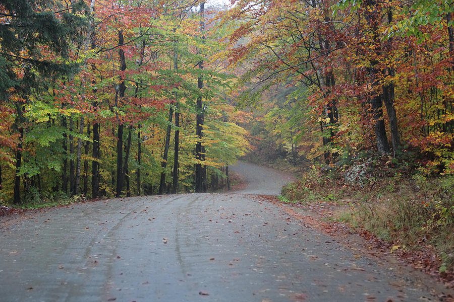 Vermont road on rainy fall day Photograph by Vance Bell