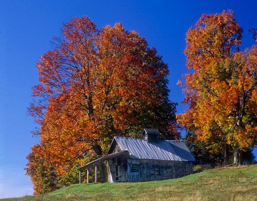 Vermont Shack In Autumn Photograph by Dave Mills