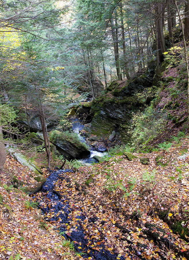 Vermont Stream Photograph by Charles Harden