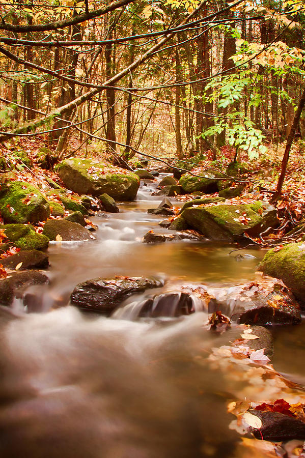 Landscape Photograph - Vermont stream by Jeff Folger