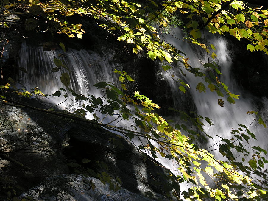 Vermont Waterfall Photograph by Robert Lozen