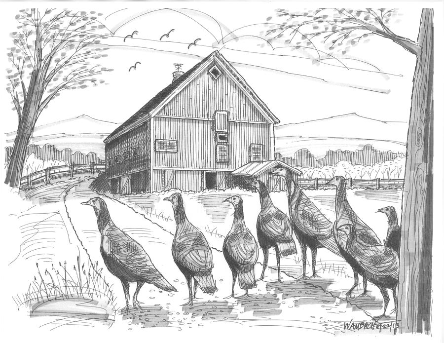 Vermont Wild Turkeys Drawing by Richard Wambach