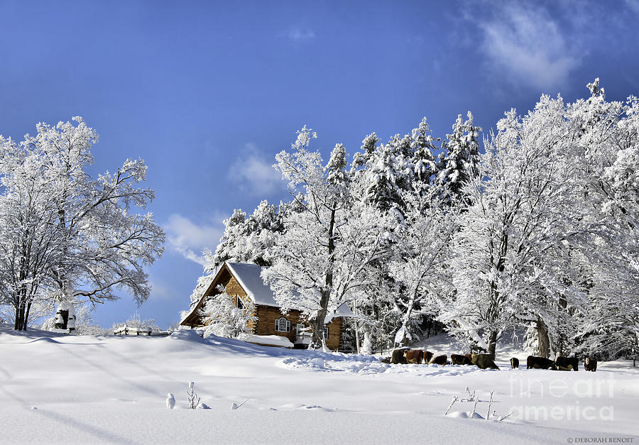 Vermont Winter Beauty Photograph by Deborah Benoit