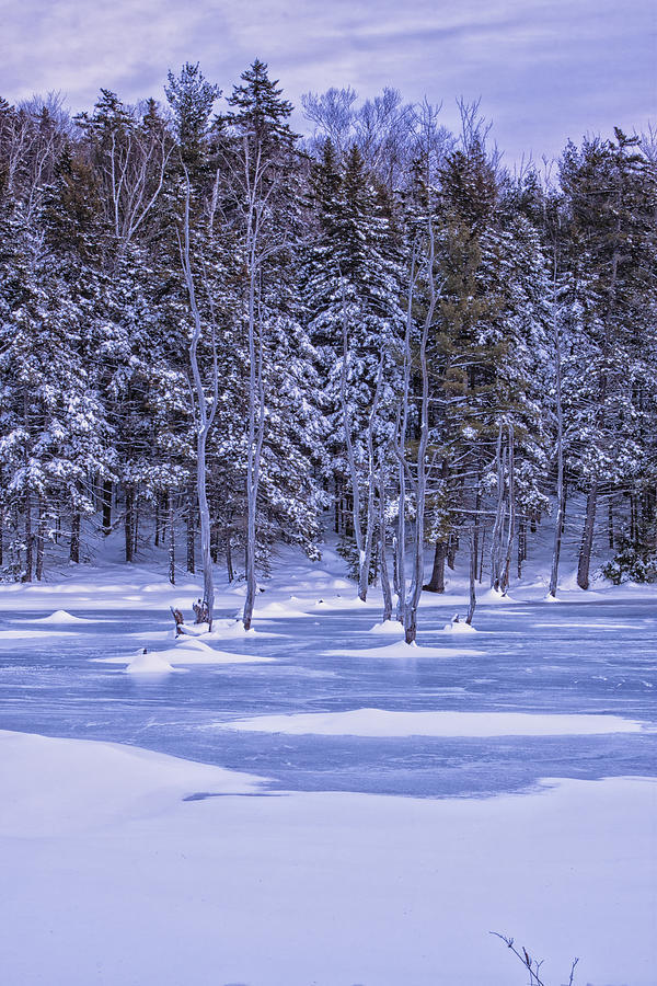 Vermont Winter Pond Photograph by Tom Singleton