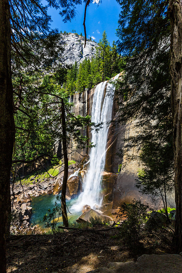 Yosemite National Park Photograph - Vernal Falls Through the Trees by Mike Lee