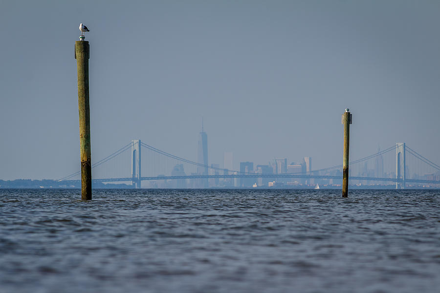 Verrazano-Narrows bridge and NYC skyline from Port Monmouth Photograph by SAURAVphoto Online Store