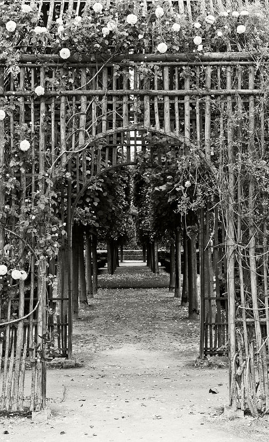 Versailles Archway  Photograph by Maj Seda