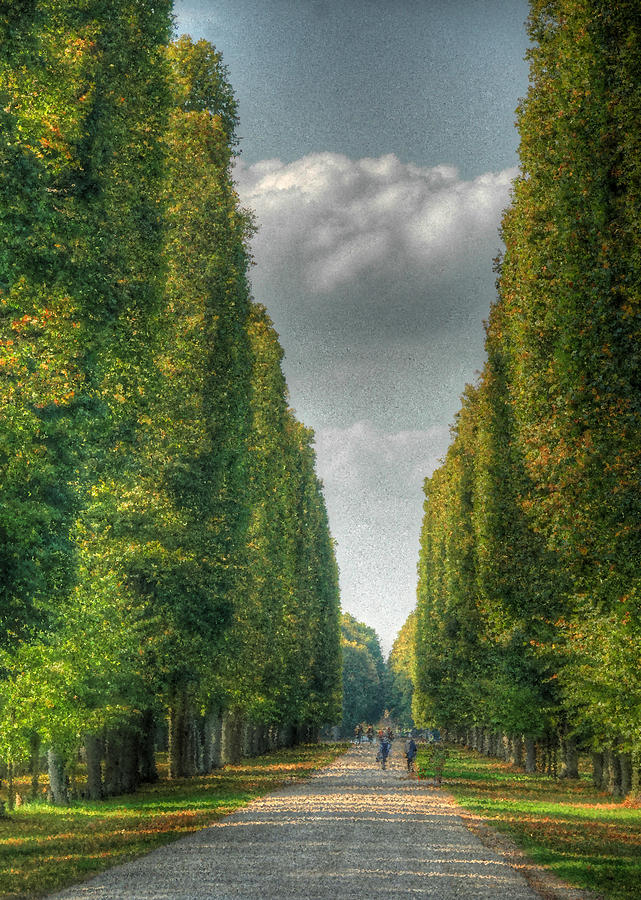 Versailles Promenade Photograph by Michael Kirk