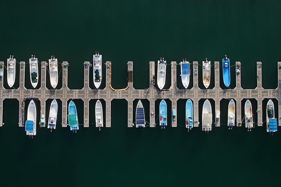 Aerial Photograph - Vertical Alignment by Shoayb Hesham Khattab Aerial Photograph - Vertical Alignment by Shoayb Hesham Khattab