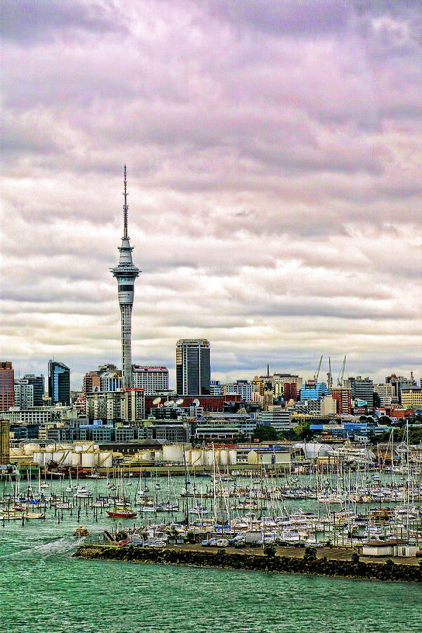 Vertical Auckland Skyline Photograph by Linda Phelps