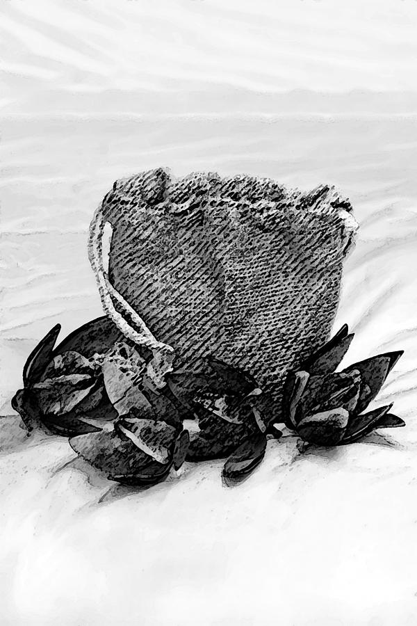 Black And White Photograph - Vertical Cotton Squares and Hessian Bag by Kantilal Patel