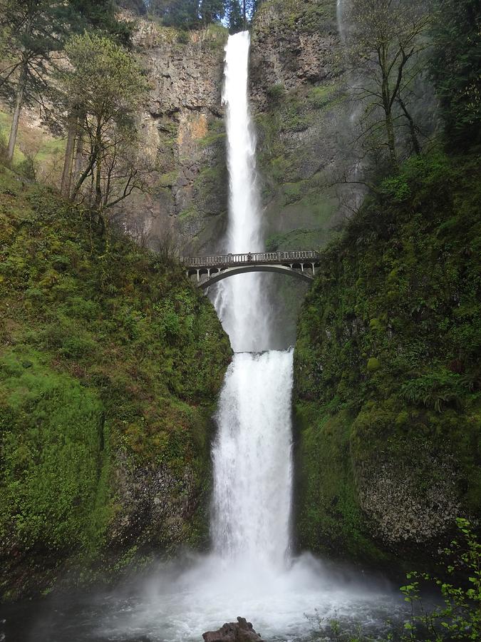 Vertical Drop - Multnomah Falls Photograph by Lizbeth Bostrom | Fine ...