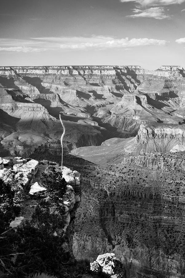 Grand Canyon National Park Photograph - Vertical Grand Canyon at Sunset - BW by Gregory Ballos