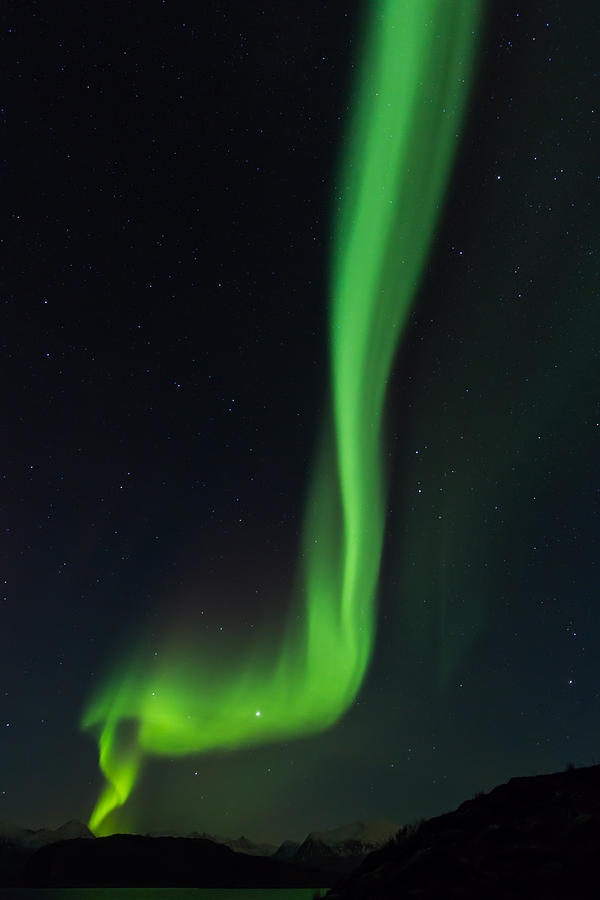 Winter Photograph - Vertical ray of Northern Lights in Norway by Aldona Pivoriene
