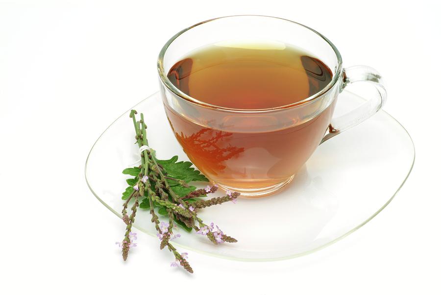 Vervain Herbal Tea Photograph by Bildagentur-online/th Foto/science ...