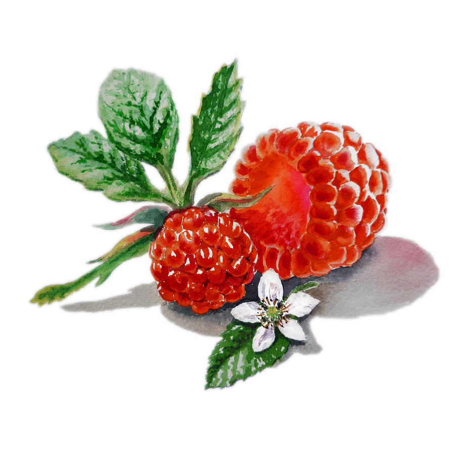 Raspberry Painting - Artz Vitamins A Very Happy Raspberry by Irina Sztukowski
