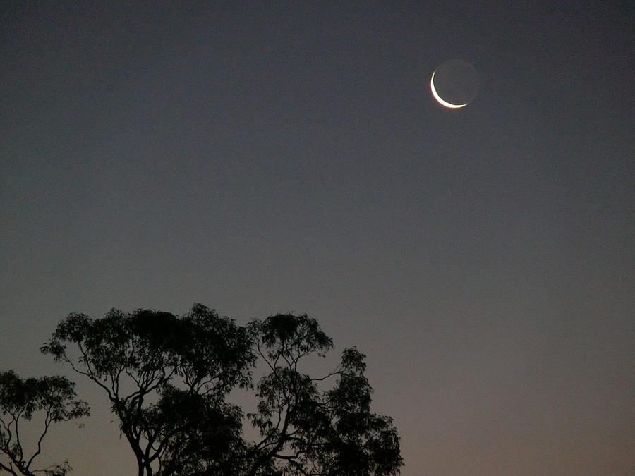 Very New Moon Photograph by Evelyn Tambour