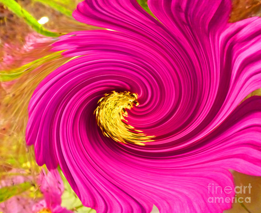 Flower Photograph - Very Pink Twirl by Tina M Wenger