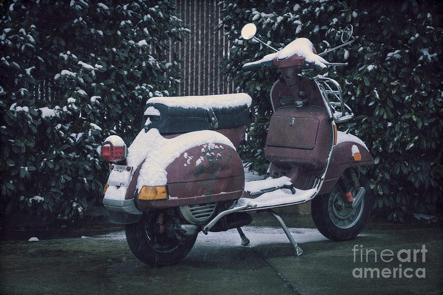 Vespa in the Snow Photograph by Diane Macdonald