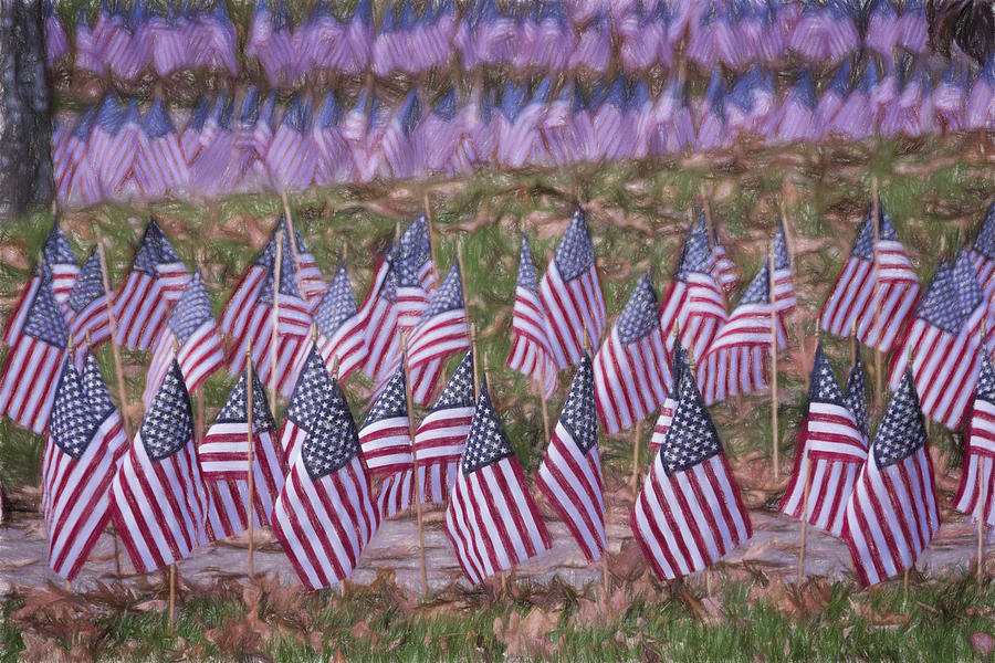 Veterans Day Display Color Photograph by Joan Carroll