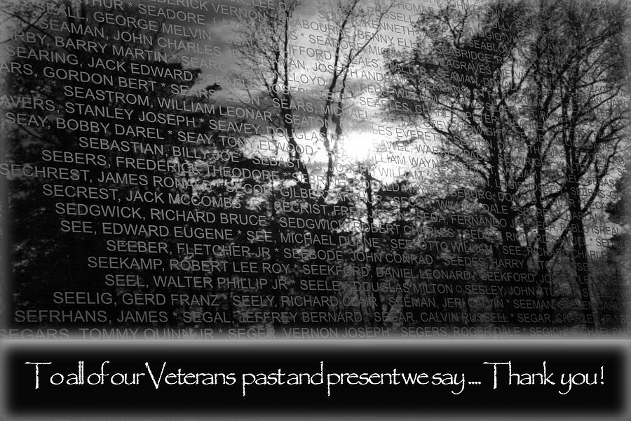 Veterans Day  Photograph by Susan McMenamin
