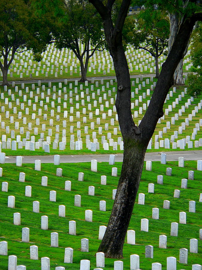 Veterans Graves Photograph by Jeff Lowe