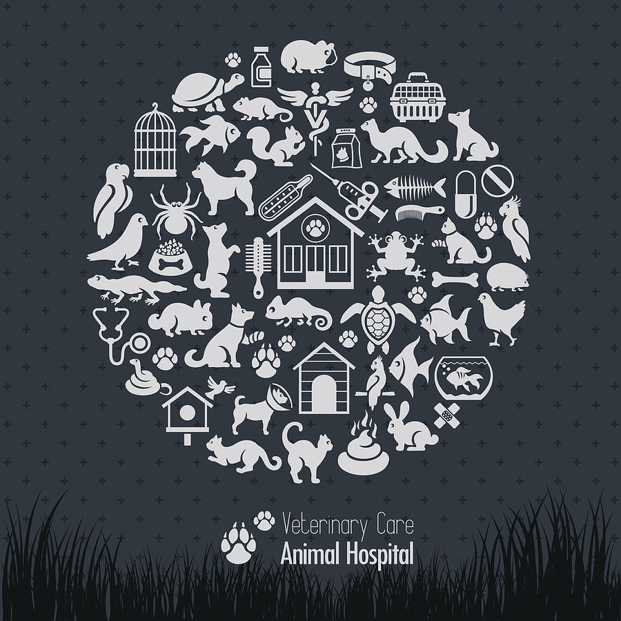 Veterinary Collage Drawing by AlonzoDesign